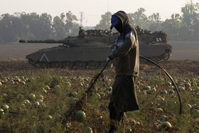 فائو: کشاورزی غزه نابود شده است
