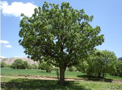 00-222.jpg