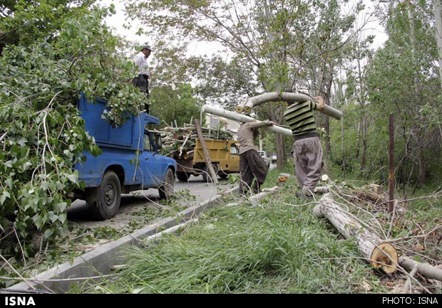 انتقاد دوستداران محیط‌زیست از قطع درختان در شاهرود
