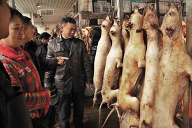 0617_china_dog_meat_970-630x420.jpg