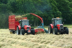 07_19_4---Tractor-and-forage-harvester-working_web[1].jpg