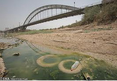 حیات زیستگاه‌های طبیعی خوزستان به کارون وابسته است