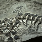 12-998.jpg