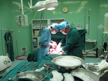راه‌اندازی بخش پیوند اعضا و جراحی کبد، مجاری صفراوی و لوزالمعده در شیراز