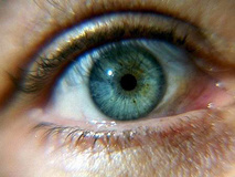 یک جراح و متخصص چشم:افراد بالای 40 سال در معرض خطر ابتلا به گلوکوم قرار دارند