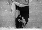 13-275.jpg