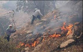 اختصاص 395 میلیارد ریال برای مقابله با آتش سوزی در جنگلها و مراتع