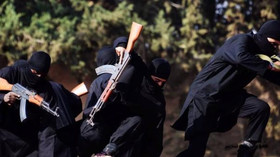 ایران و حزب الله تنها نیروهای قدرتمند منطقه برای مقابله با داعش