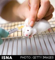 ساخت دستگاه تصویربرداری از توزیع دارو در بدن حیوانات آزمایشگاهی توسط محققان ایرانی