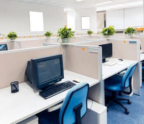 افزایش بازدهی کارمندان با وجود گیاهان در محل کار