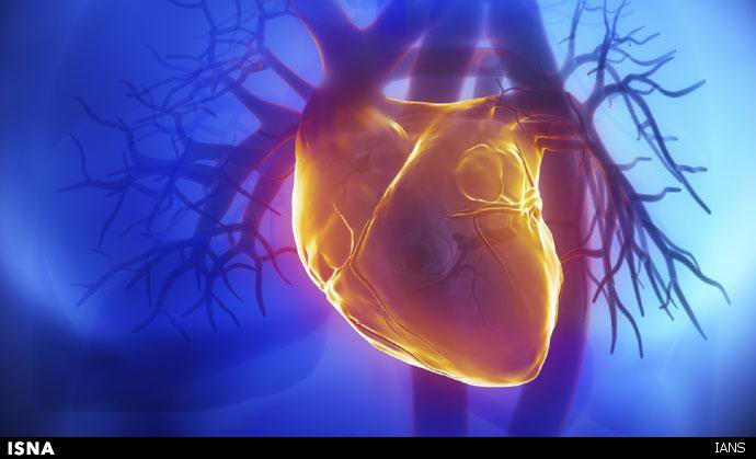 پیوند قلب مرده برای اولین بار در جهان