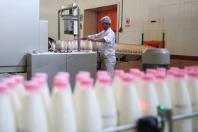 افتتاح نخستین خط تولید شیر پاستوریزه در بسته‌های 5 کیلویی