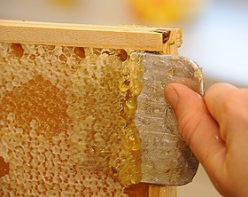 برداشت چندباره عسل با استفاده از زنبورداری جدید