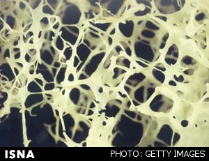 ساخت داربست نانو کامپوزیتی سه‌بعدی برای ترمیم سریع‌تر بافت استخوان