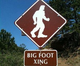 1411126033038_Researchers-claim-evidence-of-Russian-Bigfoot.jpg