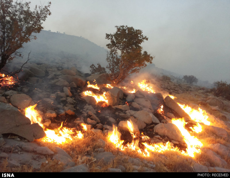 افزایش احتمال آتش‌سوزی در مراتع استان همدان