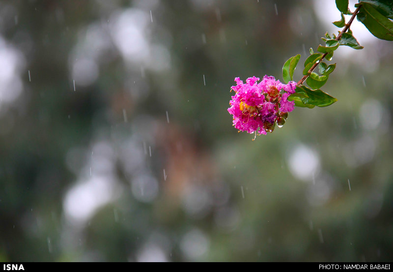 رشد 26درصدی بارش‌های تهران نسبت به سال گذشته