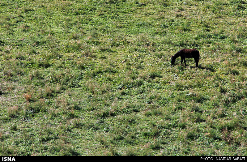  مناطق طبیعی زیبا در روستای ناندل آمل