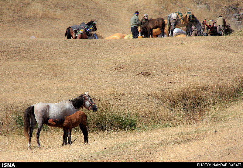  مناطق طبیعی زیبا در روستای ناندل آمل