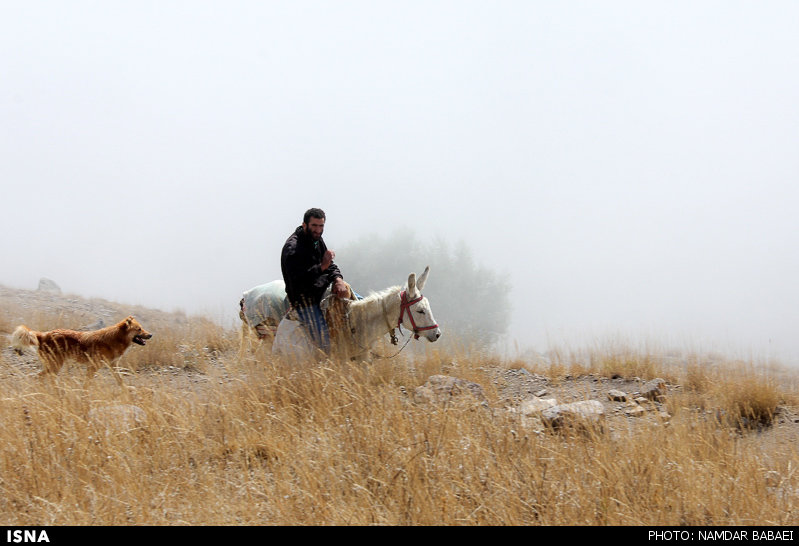  مناطق طبیعی زیبا در روستای ناندل آمل