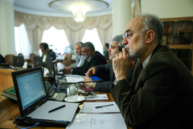 1416394755686_amin khosroshahi-11.JPG