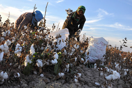 اشتغال پایدار جوانان در ۶۷ روستای تهران کلید خورد اشتغال پایدار جوانان در ۶۷ روستای تهران کلید خورد
