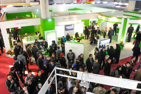 1418132594337_borna ghasemi-15.jpg