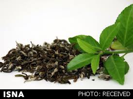 ضوابط جدید برای واردات دانه‌های گرد گل چای