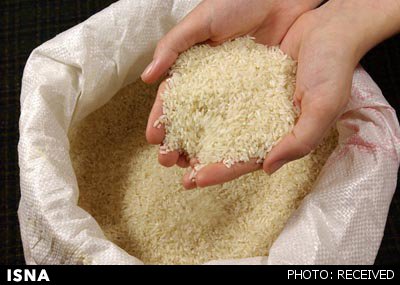 ورود غیرقانونی برنج بسیار نگران‌کننده است