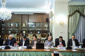 1420559289904_amin khosroshahi-5.JPG