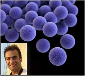 تعیین نحوه کنترل اندازه باکتری با همکاری محقق ایرانی