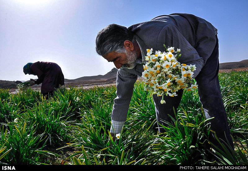http://media.isna.ir/content/1421231128949_TAHEREH+SALAHIMOGHADAM-11.jpg/4