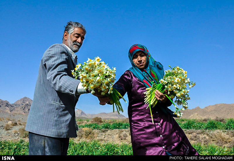 http://media.isna.ir/content/1421231221255_TAHEREH+SALAHIMOGHADAM-7.jpg/4