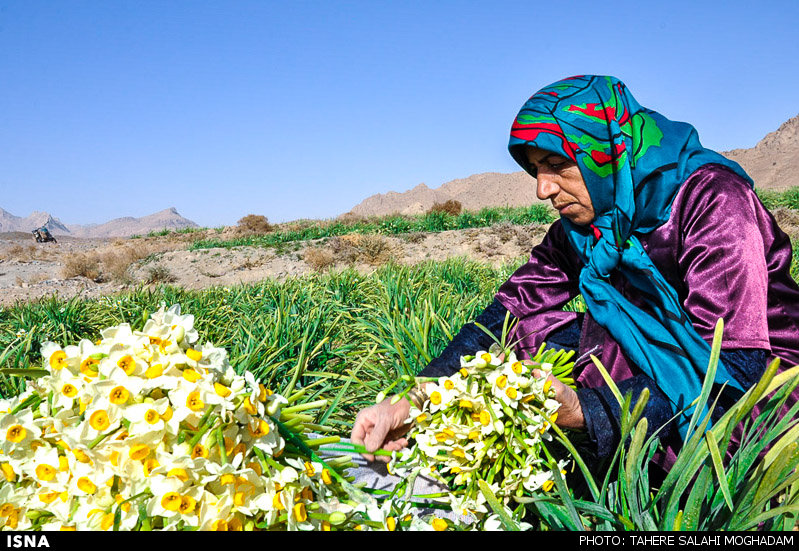 http://media.isna.ir/content/1421231223502_TAHEREH+SALAHIMOGHADAM-15.jpg/4