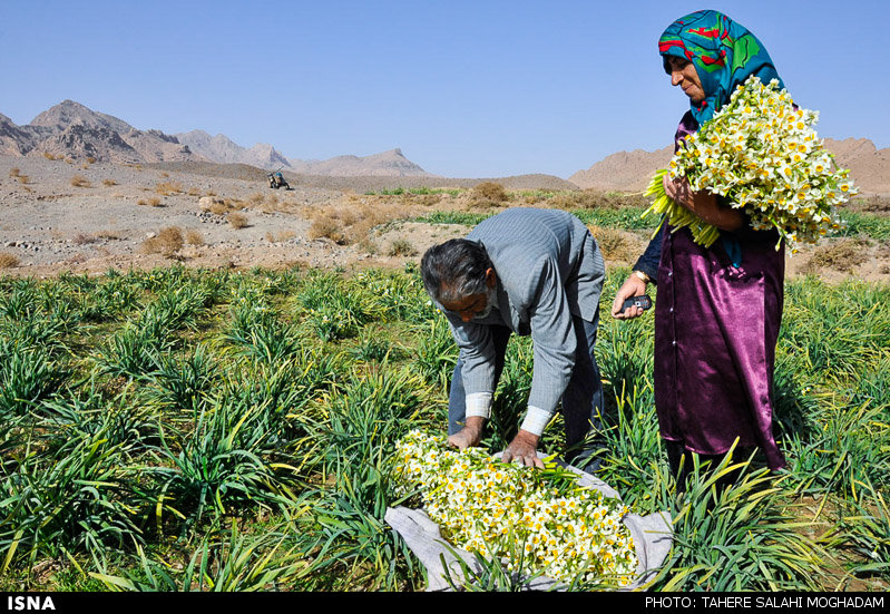 http://media.isna.ir/content/1421231459717_TAHEREH+SALAHIMOGHADAM-20.jpg/4