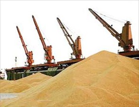 خرید 2700 تن گندم مازاد بر نیاز از کشاورزان لرستانی