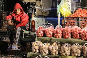 قیمت‌ میوه‌های شب عید هنوز تصویب نشده است