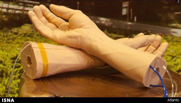 تولید پوست مصنوعی انسانی برای کمک به تحقیقات سرطان