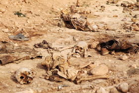 جنایت خون‌بار داعش در اعدام دسته جمعی 300 عراقی