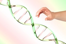 بهترین زمان برای انجام مشاوره ژنتیک، چه موقع است؟