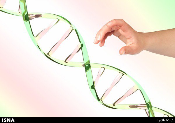 مشاوره‌های ژنتیک موثر در پیشگیری از معلولیت‌ها