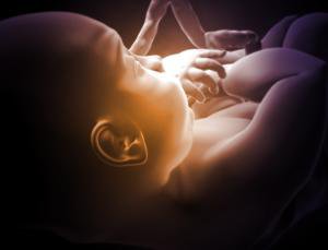 توصیه‌های یک متخصص طب سنتی برای افزایش هوش جنین