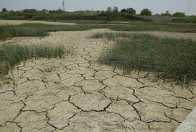 خسارت 10 هزار میلیارد ریالی سرمازدگی و خشکسالی به کشاورزی کرمانشاه