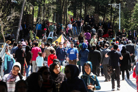 1427978029048_Nadimi -8.JPG