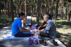 1427979043736_hamid forootam-6.jpg