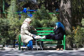 1427979044687_hamid forootam-10.jpg
