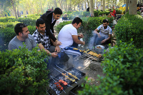 1427979044812_hamid forootam-11.jpg