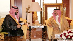 تحولات یمن، موضوع دیدار پادشاه بحرین با وزیر دفاع عربستان