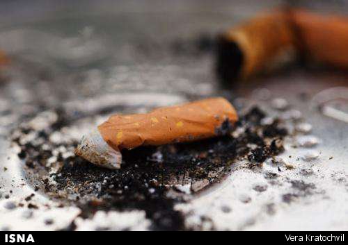 افتتاح کوی بدون دخانیات در قلب پایتخت