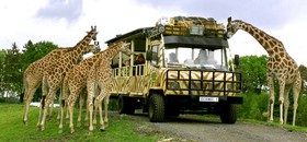 1432375852789_Serengeti-Park-Photo3.jpg